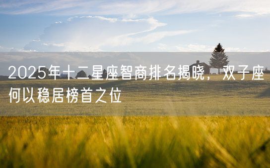 2025年十二星座智商排名揭晓，双子座何以稳居榜首之位(图1)