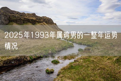 2025年1993年属鸡男的一整年运势情况(图1)