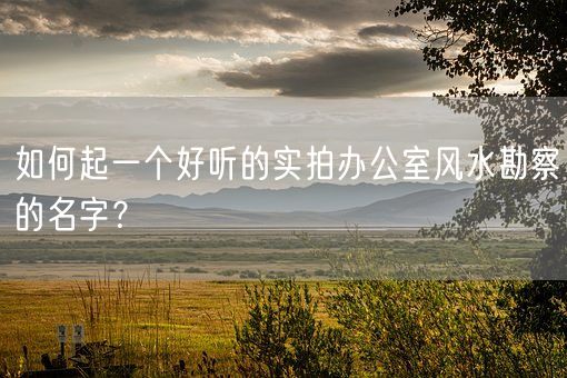 如何起一个好听的实拍办公室风水勘察的名字？(图1)