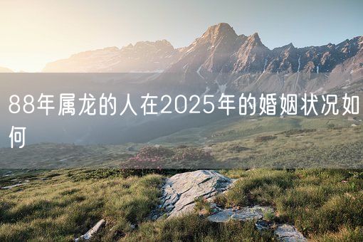 88年属龙的人在2025年的婚姻状况如何(图1)