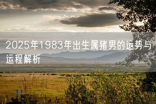 2025年1983年出生属猪男的运势与运程解析(图1)