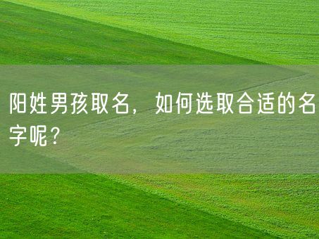 阳姓男孩取名,如何选取合适的名字呢?(图1) 阳姓男孩取名,如何选取合适的名字呢?(图1)