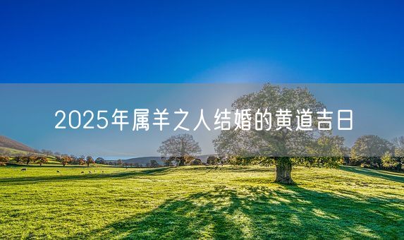 2025年属羊之人结婚的黄道吉日(图1)