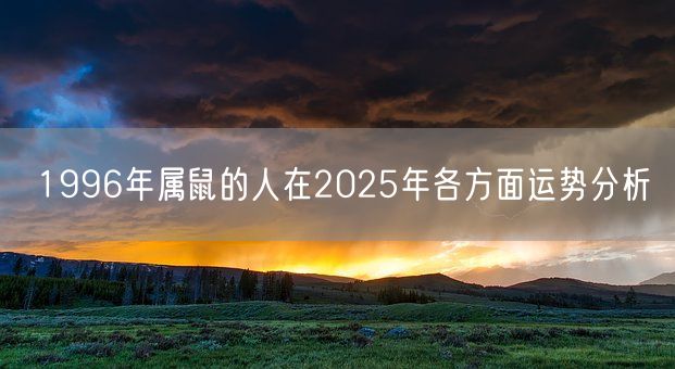 1996年属鼠的人在2025年各方面运势分析(图1)