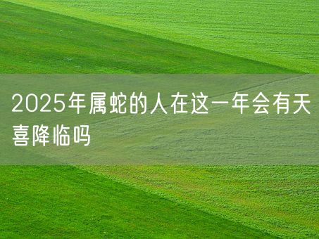 2025年属蛇的人在这一年会有天喜降临吗(图1)