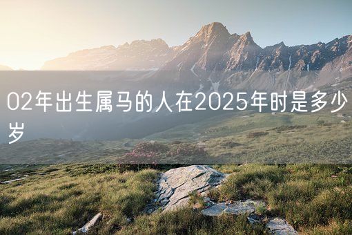 02年出生属马的人在2025年时是多少岁(图1) 02年出生属马的人在2025年时是多少岁(图1)