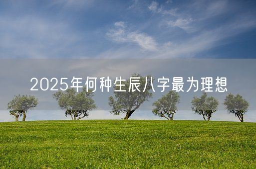 2025年何种生辰八字最为理想(图1)