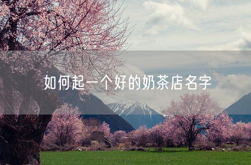 如何起一个好的奶茶店名字(图1)