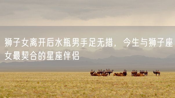 狮子女离开后水瓶男手足无措，今生与狮子座女最契合的星座伴侣(图1)