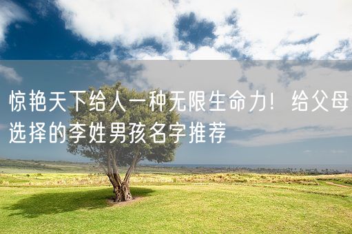 惊艳天下给人一种无限生命力!给父母选择的李姓男孩名字推荐(图1) 惊艳天下给人一种无限生命力!给父母选择的李姓男孩名字推荐(图1)
