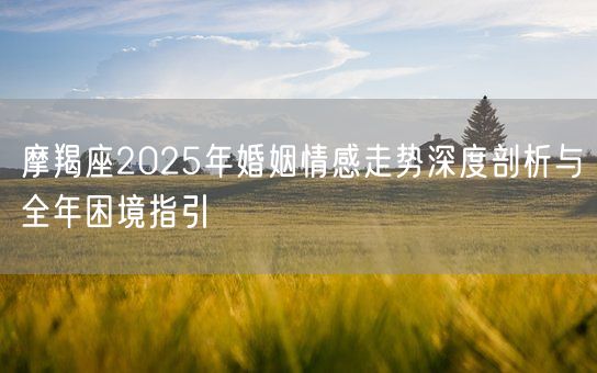 摩羯座2025年婚姻情感走势深度剖析与全年困境指引(图1) 摩羯座2025年婚姻情感走势深度剖析与全年困境指引(图1)