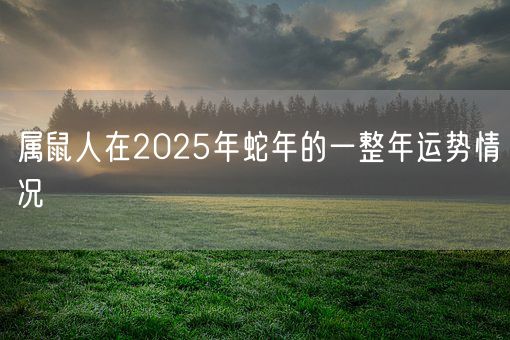 属鼠人在2025年蛇年的一整年运势情况(图1)