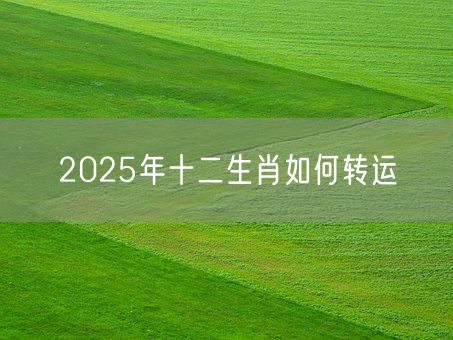 2025年十二生肖如何转运(图1) 2025年十二生肖如何转运(图1)