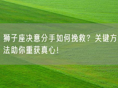 狮子座决意分手如何挽救？关键方法助你重获真心！(图1)