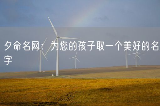 夕命名网：为您的孩子取一个美好的名字(图1)