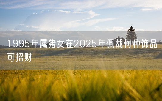 1995年属猪女在2025年佩戴何种饰品可招财(图1) 1995年属猪女在2025年佩戴何种饰品可招财(图1)