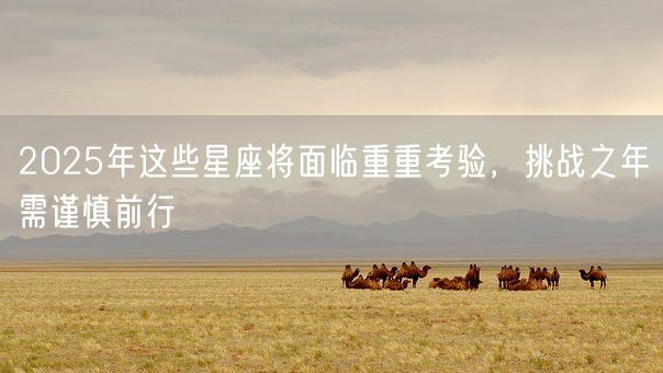 2025年这些星座将面临重重考验,挑战之年需谨慎前行(图1) 2025年这些星座将面临重重考验,挑战之年需谨慎前行(图1)