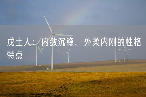 戊土人：内敛沉稳，外柔内刚的性格特点(图1)