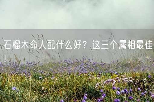 石榴木命人配什么好？这三个属相最佳！(图1)