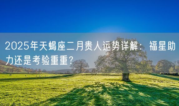 2025年天蝎座二月贵人运势详解：福星助力还是考验重重？(图1)