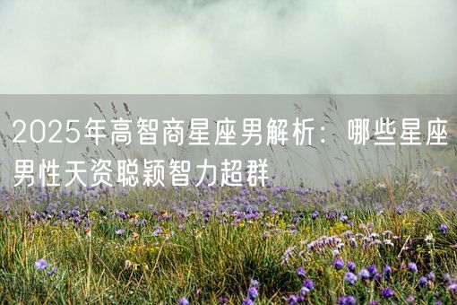 2025年高智商星座男解析:哪些星座男性天资聪颖智力超群(图1) 2025年高智商星座男解析:哪些星座男性天资聪颖智力超群(图1)