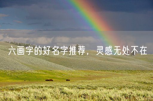 六画字的好名字推荐，灵感无处不在(图1)