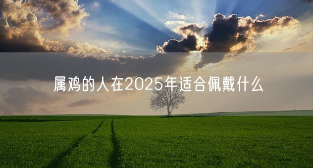 属鸡的人在2025年适合佩戴什么(图1) 属鸡的人在2025年适合佩戴什么(图1)
