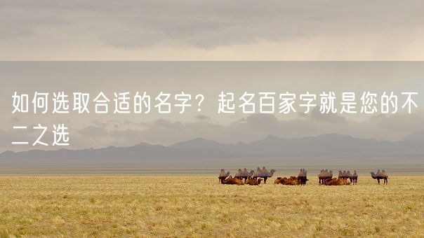 如何选取合适的名字？起名百家字就是您的不二之选(图1)