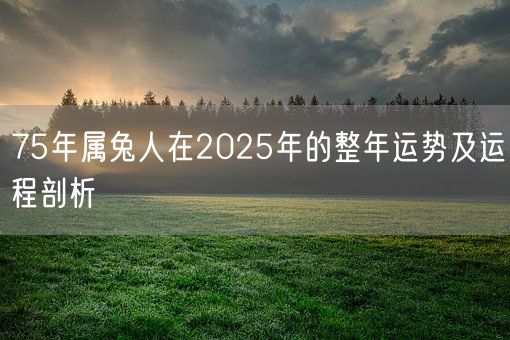 75年属兔人在2025年的整年运势及运程剖析(图1)