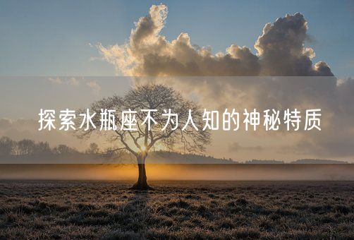 探索水瓶座不为人知的神秘特质(图1) 探索水瓶座不为人知的神秘特质(图1)
