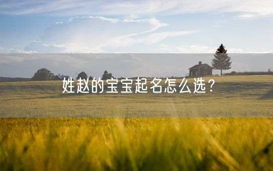 姓赵的宝宝起名怎么选？(图1)