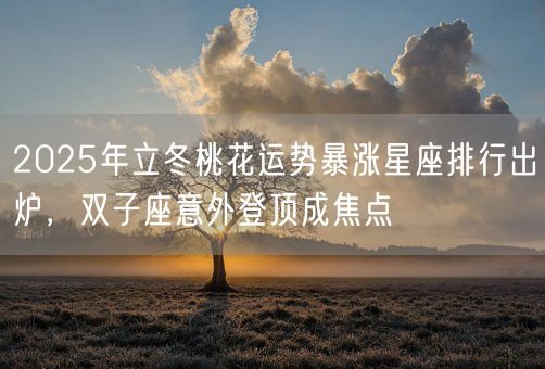 2025年立冬桃花运势暴涨星座排行出炉，双子座意外登顶成焦点(图1)