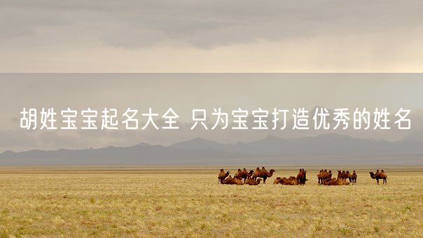 胡姓宝宝起名大全 只为宝宝打造优秀的姓名(图1)