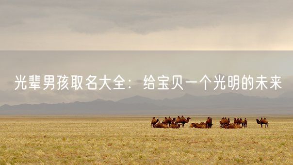光辈男孩取名大全：给宝贝一个光明的未来(图1)