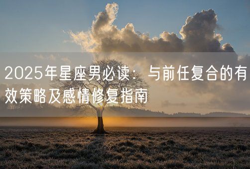 2025年星座男必读：与前任复合的有效策略及感情修复指南(图1)