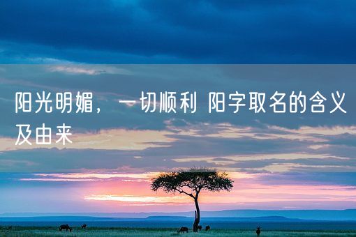 阳光明媚,一切顺利 阳字取名的含义及由来(图1) 阳光明媚,一切顺利 阳字取名的含义及由来(图1)