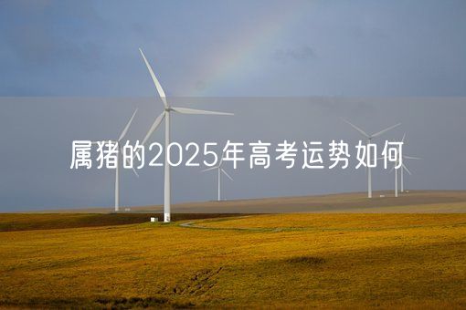 属猪的2025年高考运势如何(图1)