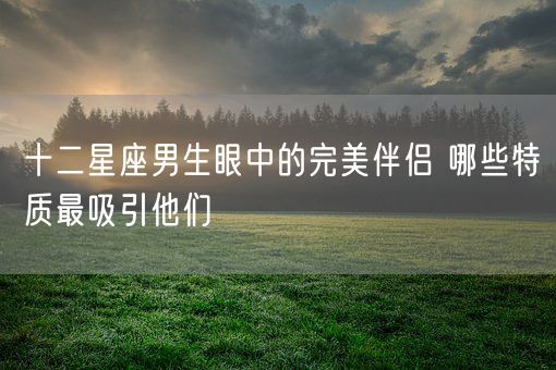 十二星座男生眼中的完美伴侣 哪些特质最吸引他们(图1)