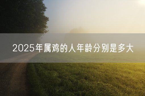2025年属鸡的人年龄分别是多大(图1)