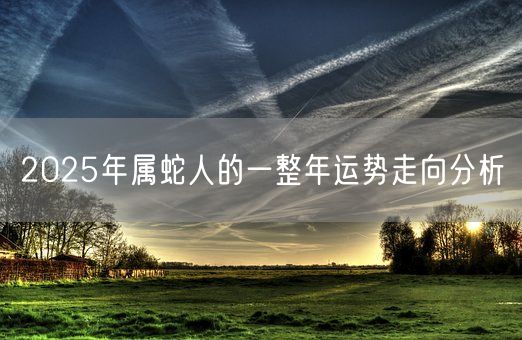 2025年属蛇人的一整年运势走向分析(图1)