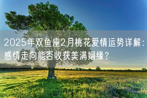 2025年双鱼座2月桃花爱情运势详解:感情走向能否收获美满姻缘?(图1) 2025年双鱼座2月桃花爱情运势详解:感情走向能否收获美满姻缘?(图1)
