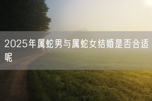 2025年属蛇男与属蛇女结婚是否合适呢(图1)