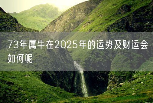 73年属牛在2025年的运势及财运会如何呢(图1) 73年属牛在2025年的运势及财运会如何呢(图1)