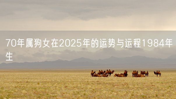 70年属狗女在2025年的运势与运程1984年生(图1)