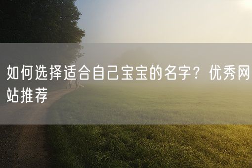 如何选择适合自己宝宝的名字？优秀网站推荐(图1)