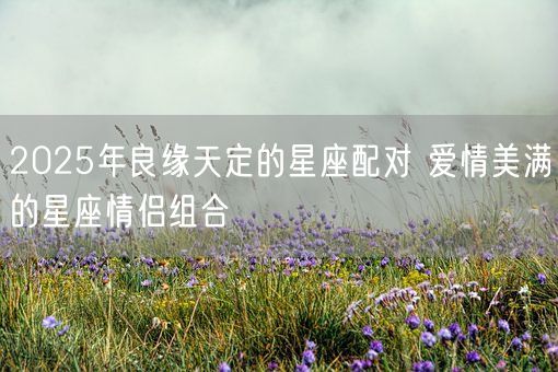 2025年良缘天定的星座配对 爱情美满的星座情侣组合(图1) 2025年良缘天定的星座配对 爱情美满的星座情侣组合(图1)