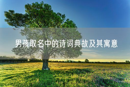 男孩取名中的诗词典故及其寓意(图1) 男孩取名中的诗词典故及其寓意(图1)