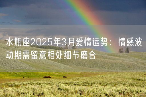 水瓶座2025年3月爱情运势:情感波动期需留意相处细节磨合(图1) 水瓶座2025年3月爱情运势:情感波动期需留意相处细节磨合(图1)