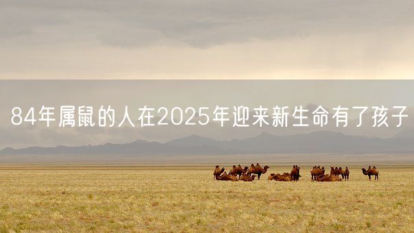 84年属鼠的人在2025年迎来新生命有了孩子(图1) 84年属鼠的人在2025年迎来新生命有了孩子(图1)