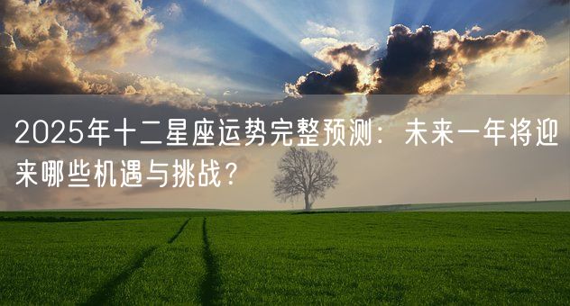 2025年十二星座运势完整预测：未来一年将迎来哪些机遇与挑战？(图1)